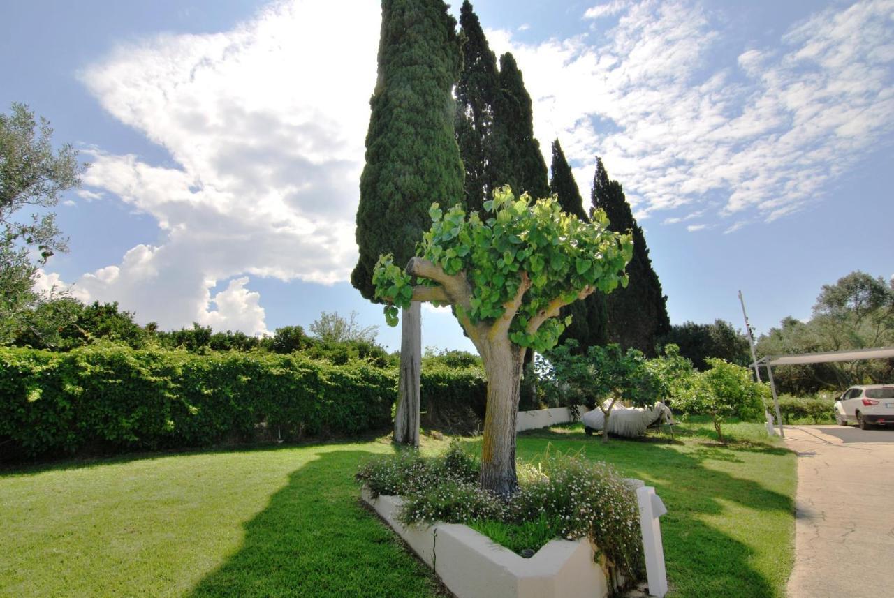 Cypress Garden Villas Svoronata Bagian luar foto